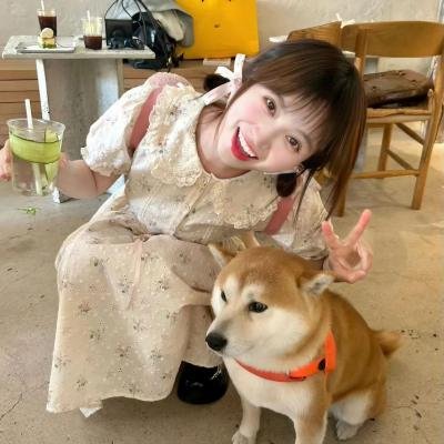 网中鱼