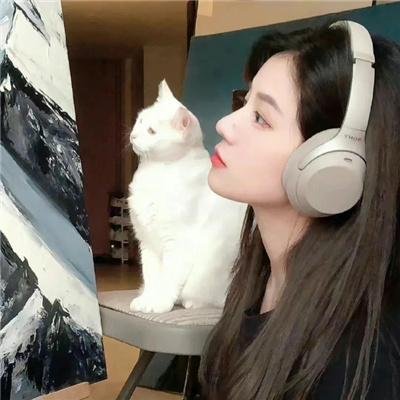 天上掉下小奶团督军府好运连连